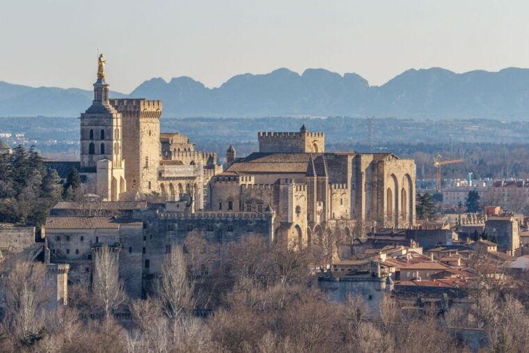 Avignon City of Popes and Wine Tasting Private Full Day Tour - Booking and Cancellation Policy