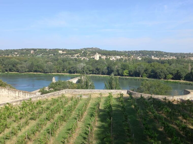 Avignon: City Walking Tour With Popes Palace Entry - Historic Center Walking Tour