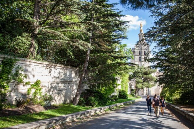 Avignon: City Walking Tour With Popes Palace Entry - Common Questions