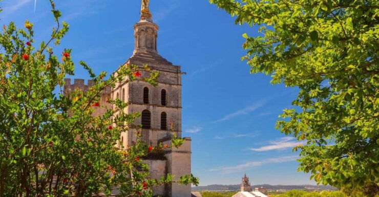 Avignon: Express Walk With a Local in 60 Minutes - Experience Avignon Like a Local