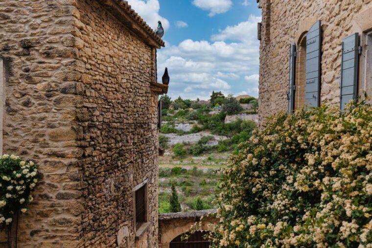 Avignon : Full-Day Châteauneuf Du Pape Wines & Luberon Tour - Tour Experience
