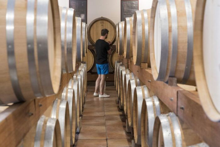 Avignon : Full-Day Châteauneuf Du Pape Wines & Luberon Tour - Important Information and Recommendations