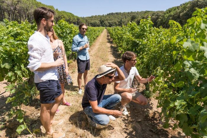 Avignon : Full-Day Châteauneuf Du Pape Wines & Luberon Tour - Booking Your Tour