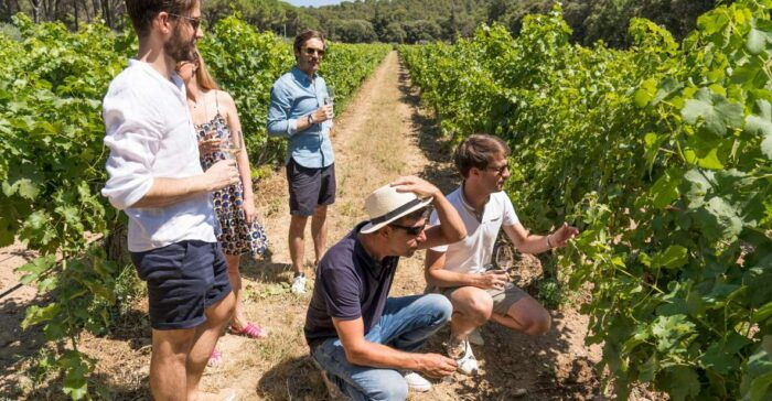 Avignon : Full-Day Châteauneuf Du Pape Wines & Luberon Tour - Frequently Asked Questions