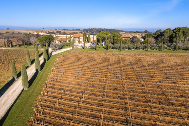 Avignon: Full Day Truffles and Chateauneuf-Du-Pape Wines - Authentic Truffle Farm Visit