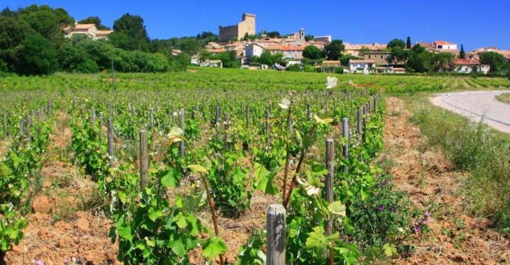 Avignon: Full-Day Wine Tour Around Châteauneuf-Du-Pape - Experience Highlights
