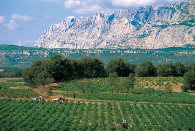 Avignon: Full-Day Wine Tour Around Châteauneuf-Du-Pape - Visit 4 Appellations of Côte Du Rhône