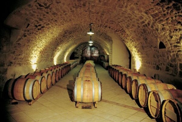 Avignon: Full-Day Wine Tour Around Châteauneuf-Du-Pape - Accompanied by a Wine Specialist Guide