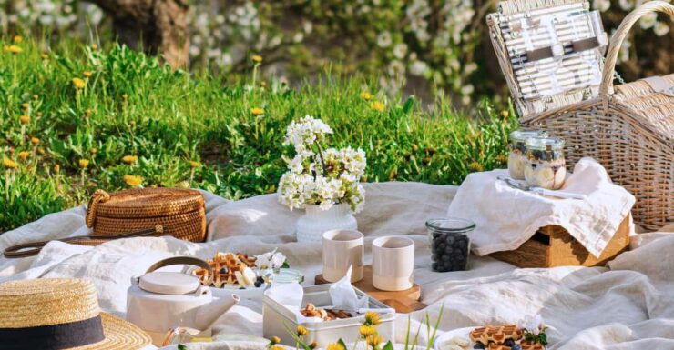 Avignon: Gourmet Picnic With a View of the Pont D'avignon - Key Points