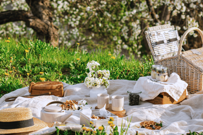 Avignon: Gourmet Picnic With a View of the Pont D'avignon - The Picnic Experience