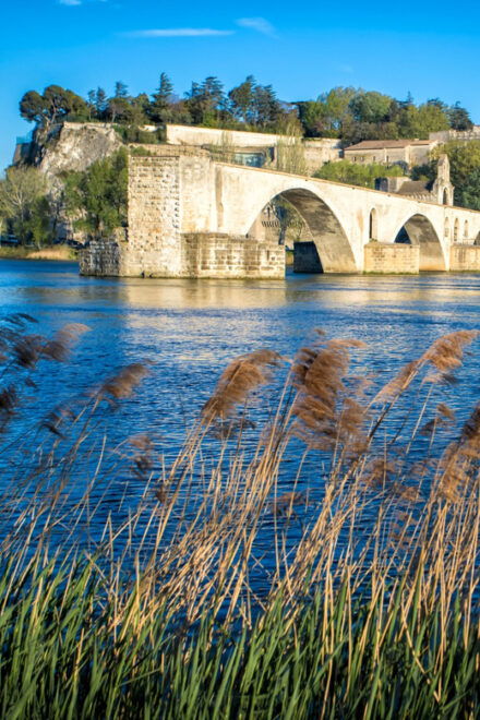 Avignon: Gourmet Picnic With a View of the Pont D'avignon - Menu Highlights