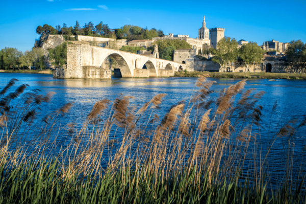 Avignon: Gourmet Picnic With a View of the Pont D'avignon - Scenic Atmosphere