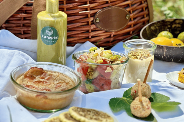 Avignon: Gourmet Picnic With a View of the Pont D'avignon - Accessibility Features