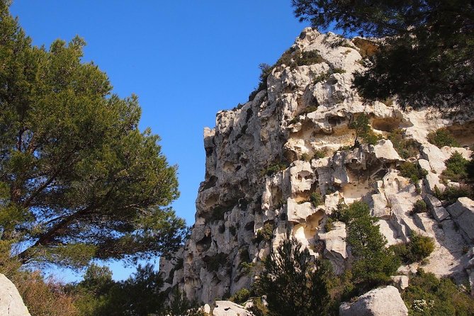 Avignon, Les Baux, St Remy and Arles From MARSEILLE - The Sum Up