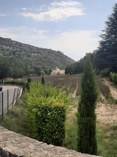 Avignon: Luberon, Gordes, and Roussillon Half-Day Tour - Analyzing the Experience: Is It Worth It?