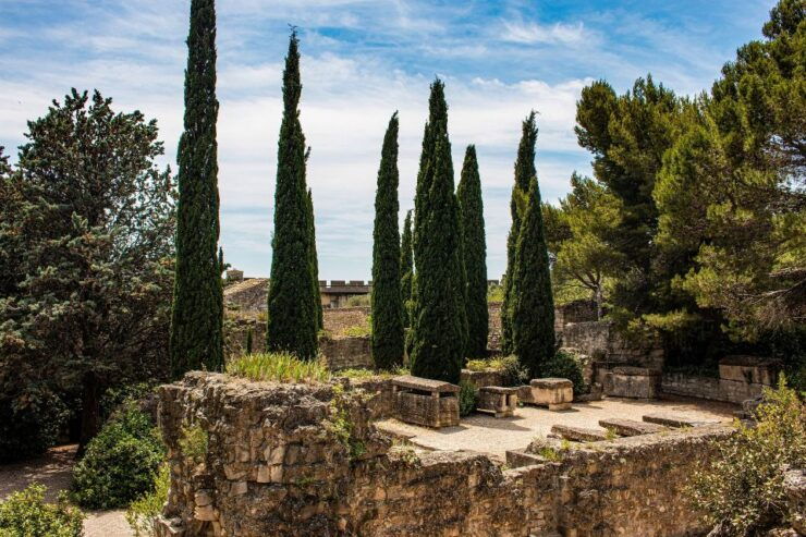 Avignon Private Guided Tour and Wine Tastings From Marseille - Good To Know