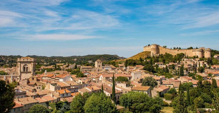 Avignon Private Guided Tour and Wine Tastings From Marseille - Experience the Artistic City of Avignon