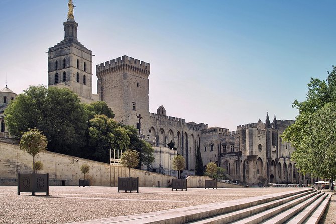 Avignon Walking Tour Including Popes Palace - Traveler Tips for the Tour