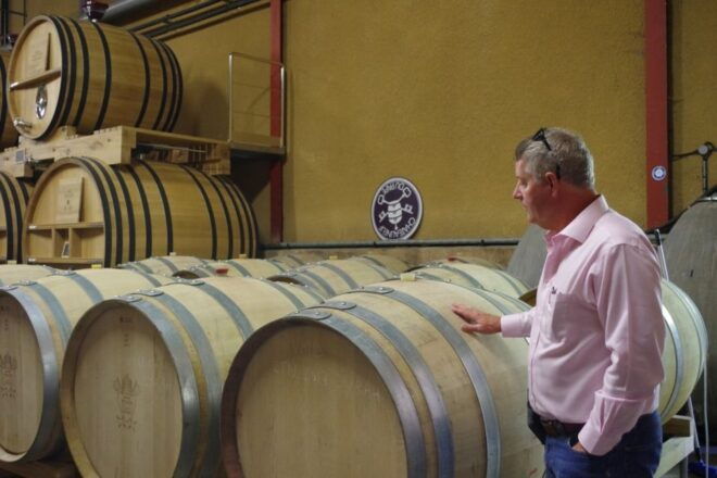 Avignon: Wine Tasting Tour - Wine Tasting in Châteauneuf-Du-Pape