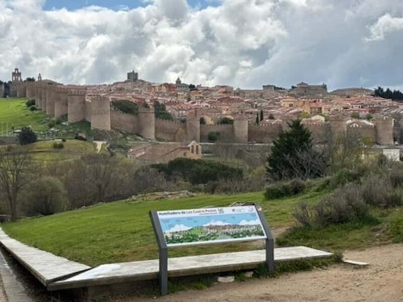 Avila and Segovia: Private Minivan Tour from Madrid - Discovering Ávila and Segovia: A Private Minivan Tour from Madrid