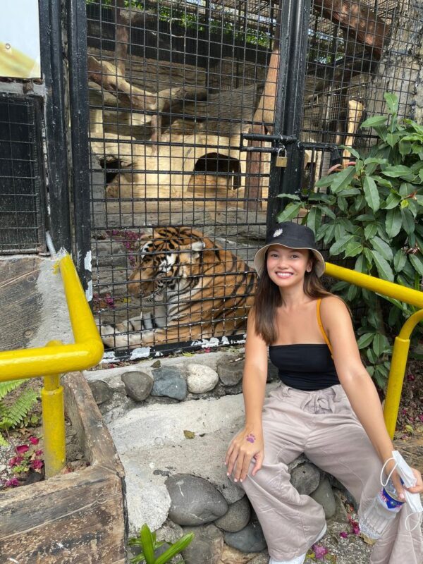 Avilon Zoo Ticket in Rizal - Ticket value and what the price covers