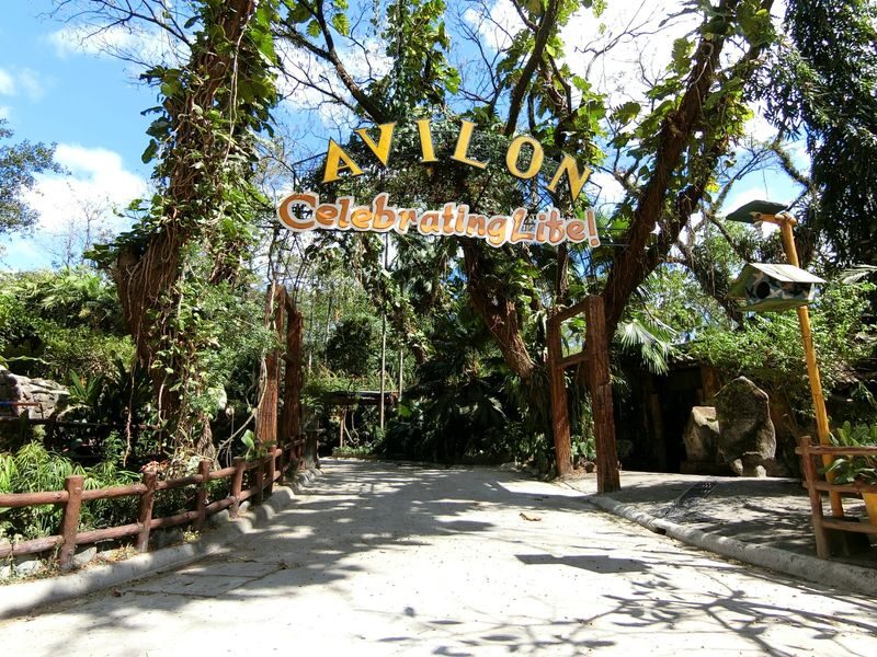 Avilon Zoo Ticket in Rizal - Getting to San Isidro, Rodriguez