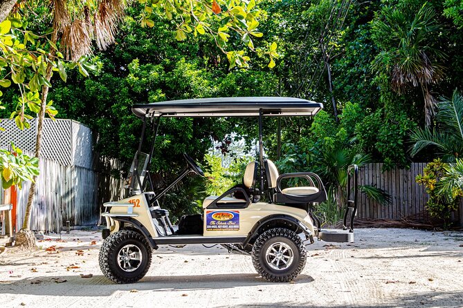 Avis Golf Cart Rental LTD Island Explore - Customer Feedback