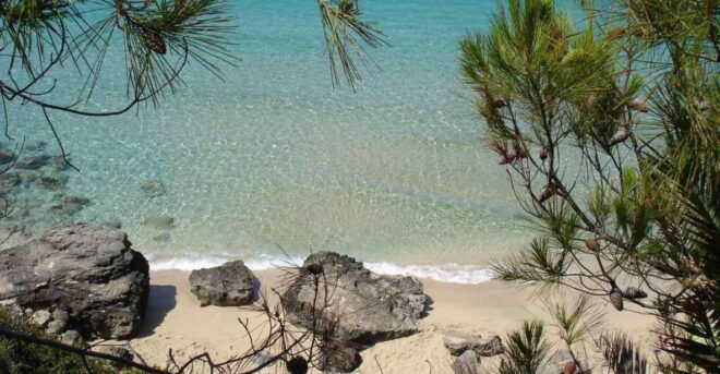 Avithos Beach Escape & Culinary Wine Experience - Discover the Flavors of Kefalonian Wines