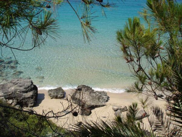 Avithos Beach Escape & Culinary Wine Experience - The Sum Up