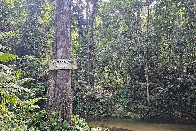 Avocat Waterfall and Maracas Bay, The Way Trinis Do It - A Closer Look at the Itinerary