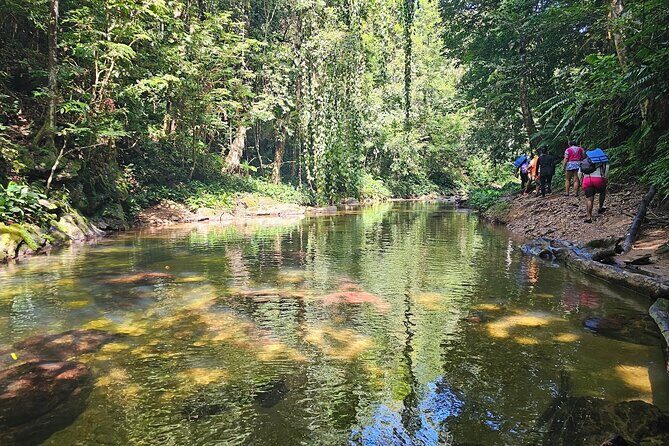 Avocat Waterfall and Maracas Bay, The Way Trinis Do It - Pricing and Value