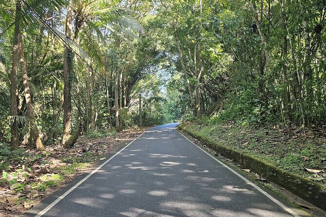 Avocat Waterfall and Maracas Bay, The Way Trinis Do It - Authentic Insights from Reviews