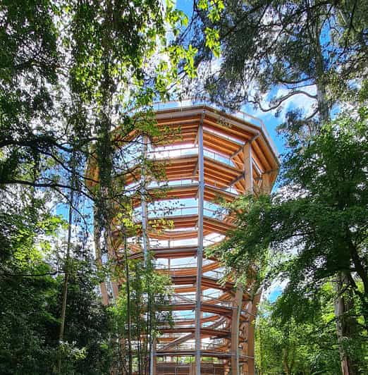 Avondale: Beyond the Trees Treetop Walk & Tower Entry Ticket - Good To Know