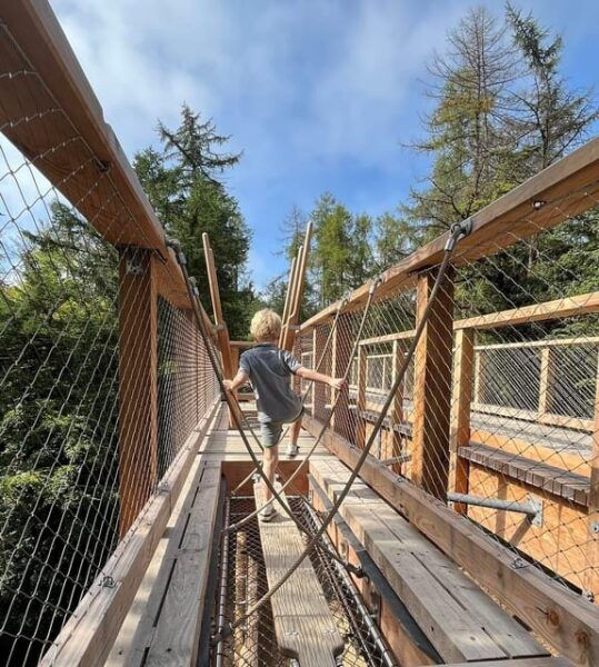 Avondale: Beyond the Trees Treetop Walk & Tower Entry Ticket - Discovering the Walled Garden