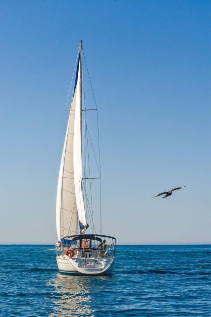 Avra, Half - Day Sailing Cruise - Itinerary