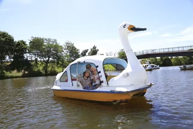 Awaji Farm Park England Hill Admission Ticket in Hyogo - Choose paid activities to fit your group