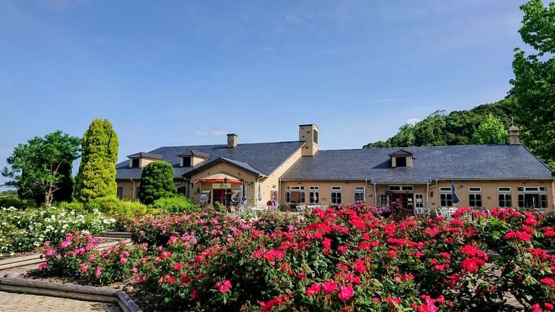 Awaji Farm Park England Hill Admission Ticket in Hyogo - Allow about half a day, and check the calendar