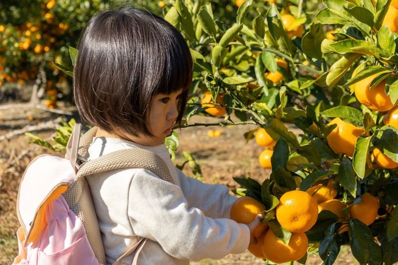 Awaji Island Flower Corridor & Ladybug Path & Happy Pancake & All-You-Can-Eat Fruit Day Trip (Departing from Osaka) - Guides, language and meeting-point details