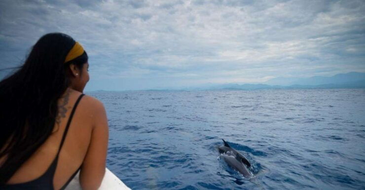 Awakening With Stars, Whales and Dolphins Boat Cruise - Booking Details