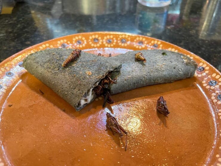 Awarded Mexican Mole & Mezcal Tour: Coyoacan by Chef Eduardo - Culinary Experience