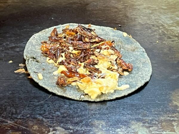Awarded Mexican Mole & Mezcal Tour: Coyoacan by Chef Eduardo - Mezcal Tastings