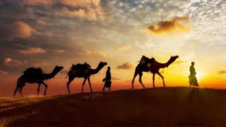 Away From the Crowd Dinner on Dunes/ in Non Touristic Desert - Experience Details