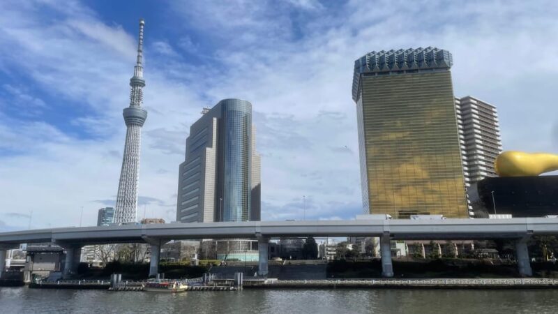 Awesome Private Tour: Tsukiji, Asakusa, Shinjuku, Shibuya - Good To Know