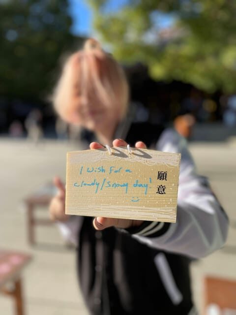 Awesome Private Tour: Tsukiji, Asakusa, Shinjuku, Shibuya - The Sum Up