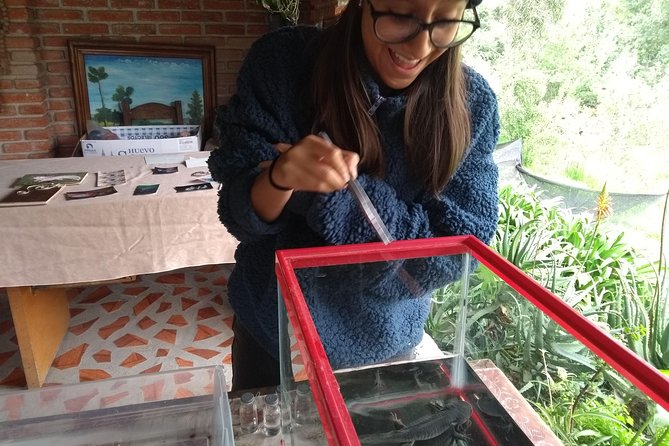 Axolotl Tour From CDMX - Common Questions