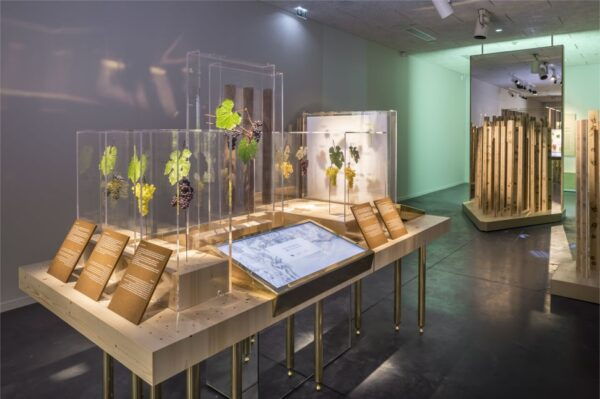Aÿ-Champagne: Pressoria Champagne Museum With Tasting - The Sum Up