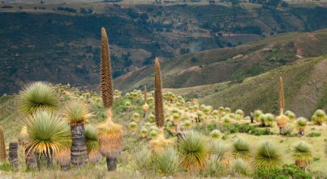 Ayacucho: Route to Vilcashuamán and Pumacocha - Itinerary Details