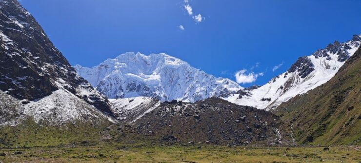 Ayahuasca Retreat in Salkantay to Machupicchu 9 Days - Experience at Ayahuasca Retreat