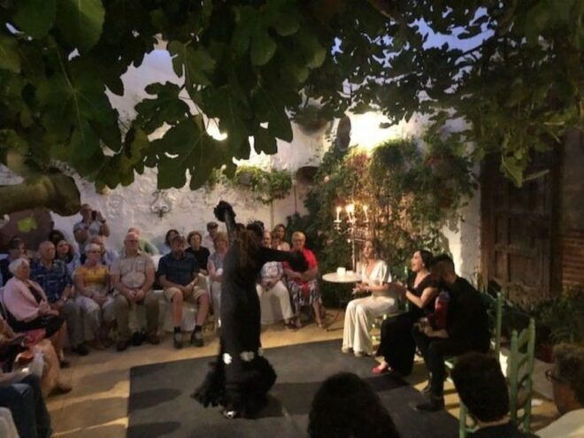Ayamonte: the Wide Door Flamenco Tablao With Tapas - Live Performances and Spanish Guitar