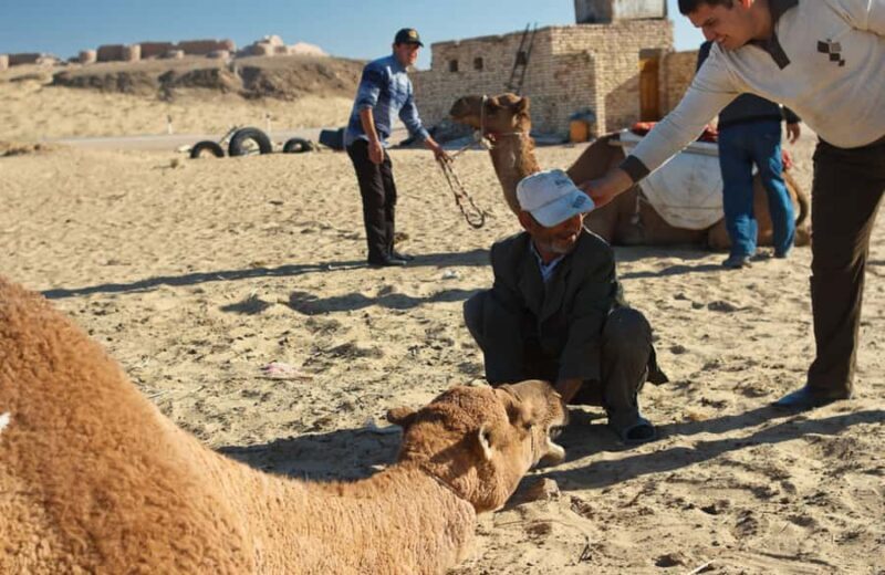 Ayaz Kala Yurt Camp Overnight Tour from Khiva - A Detailed Look at the Tour Experience